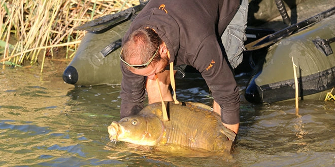 Pression de pêche à la carpe