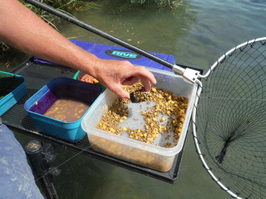 Pêche au feeder à la graine