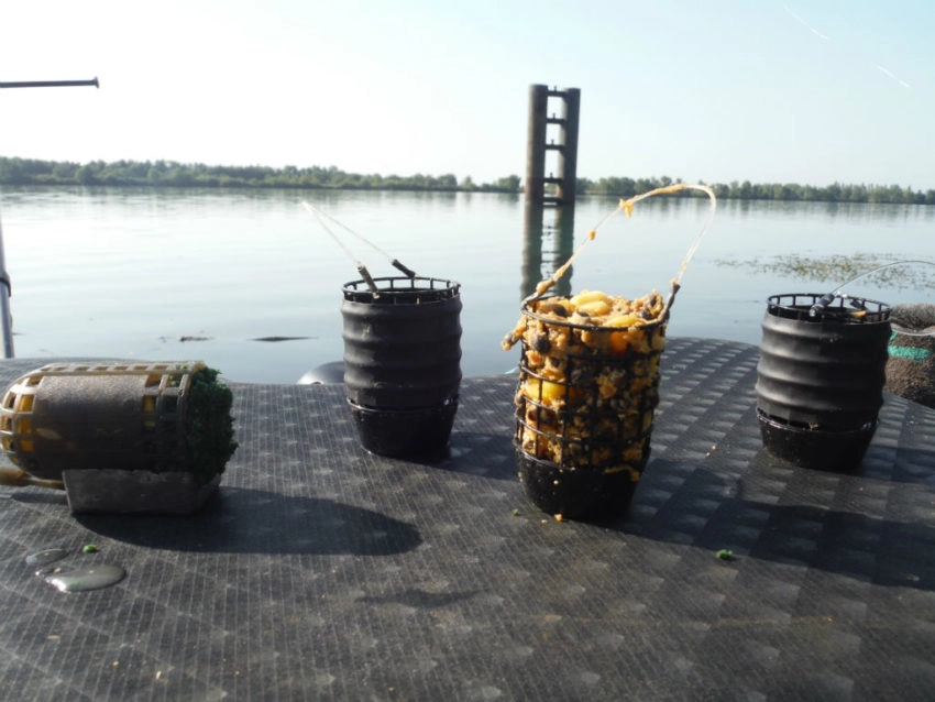 Pêche au feeder à la graine