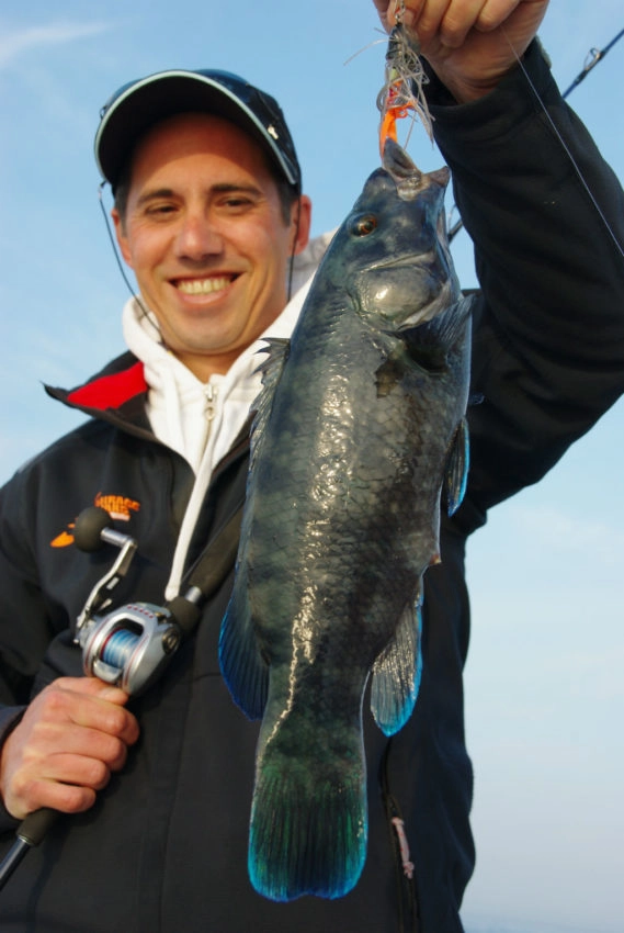 Pêche au Madaï Jig en finesse en mer