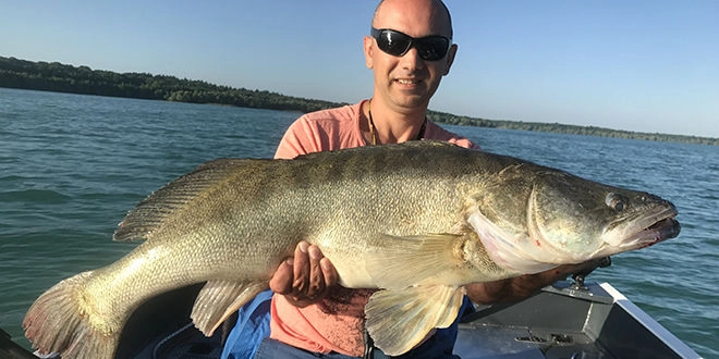 Pêche fine du sandre