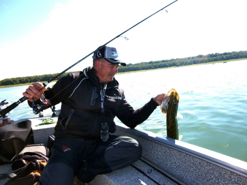 Fireball pour le brochet et le sandre