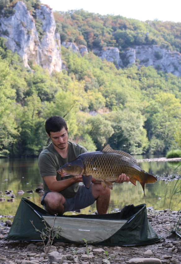 Changement de poste à la pêche à la carpe