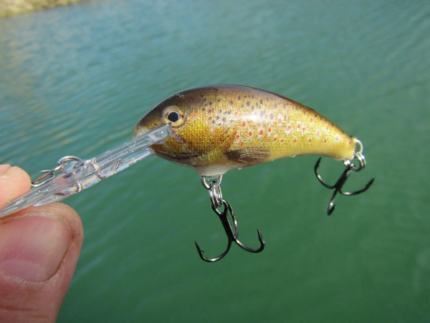 Leurre Rapala Shad Dancer