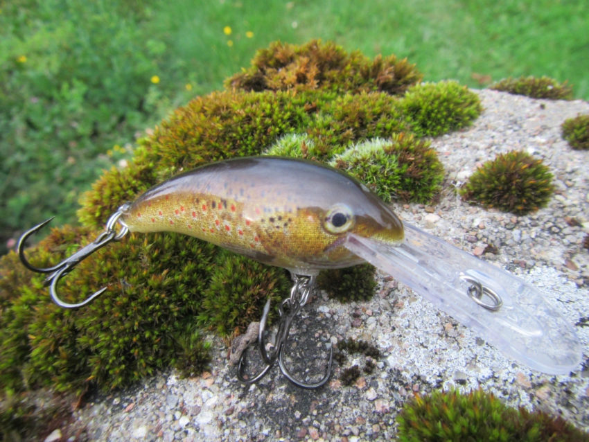 Leurre Rapala Shad Dancer