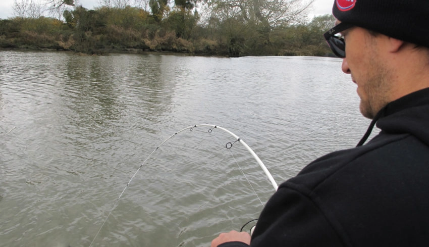 Pêche du silure au leurre en eau froide