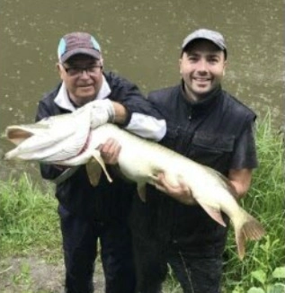 Gros brochet record de France