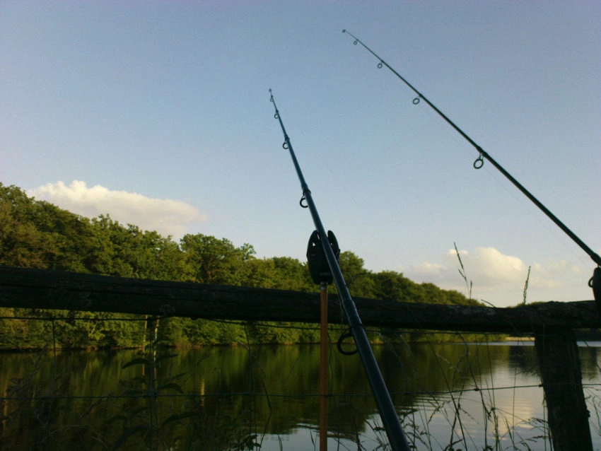 Pêche au vif des carnassiers