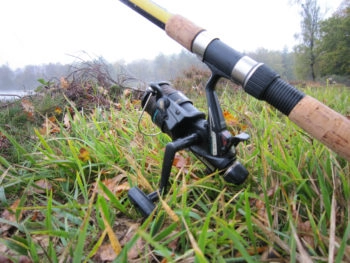 Pêche au vif des carnassiers