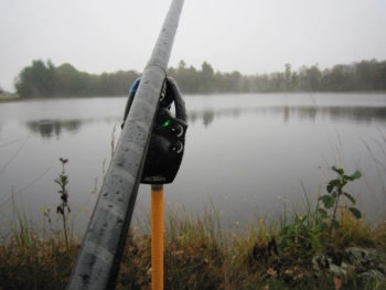 Pêche au vif des carnassiers