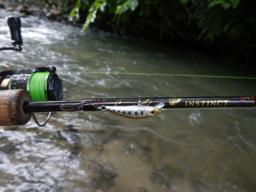 Pêche de la truite au poisson nageur