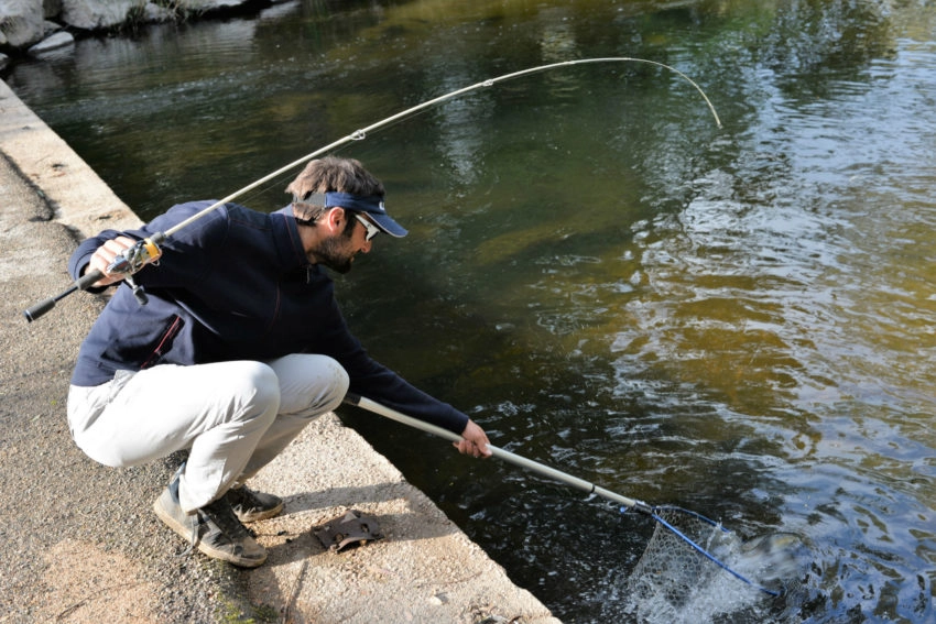 Epuisette pour la pêche des carnassiers