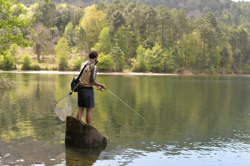 Epuisette pour la pêche des carnassiers