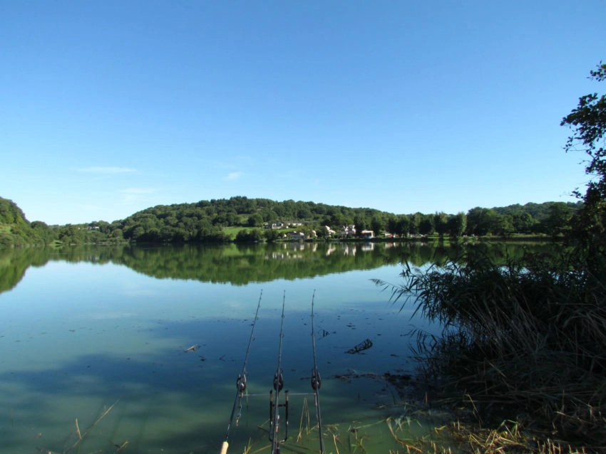 Pêche à la carpe dans les eaux pauvres en nourriture naturelle