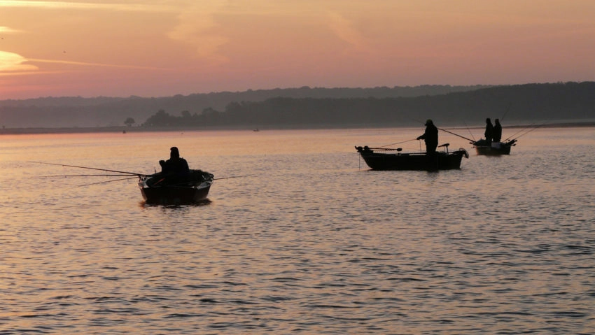 Pêche des carnassiers à l'ouverture