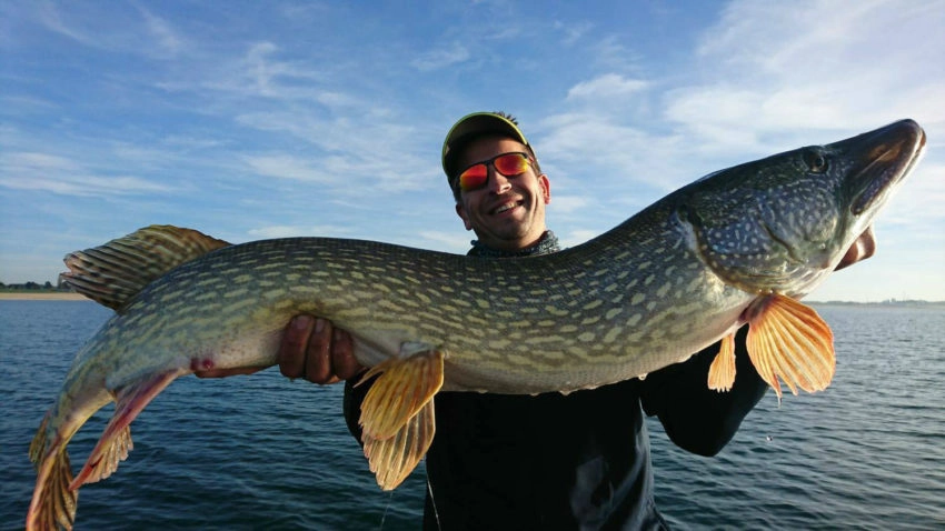 Pêche des carnassiers à l'ouverture