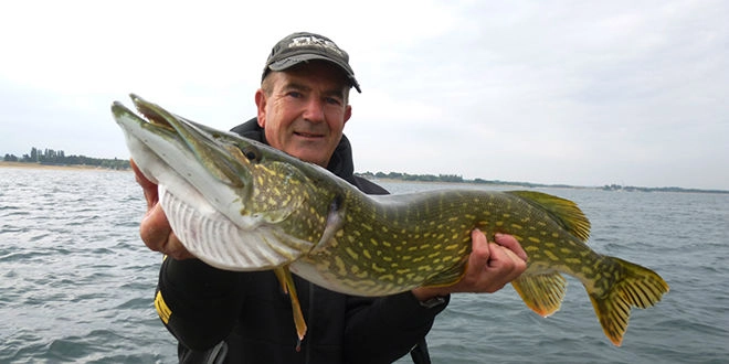 Pêche des carnassiers à l'ouverture