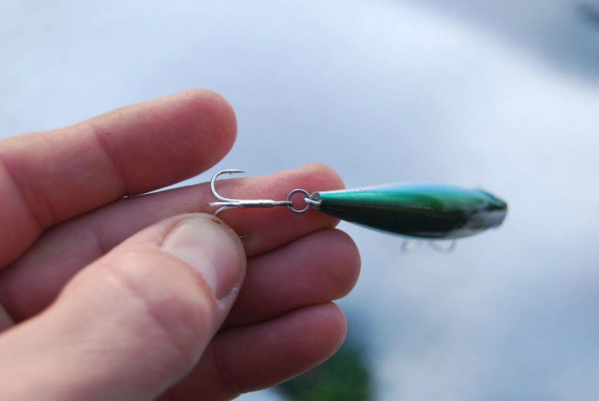 Choix de l'hameçon pour pêcher les carnassiers