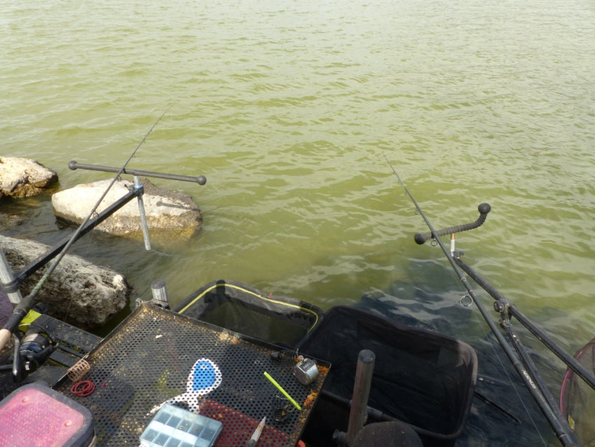 Pêche au feeder en américaine