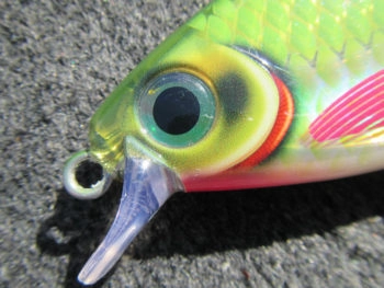 Leurre Super Shadow Rap Rapala