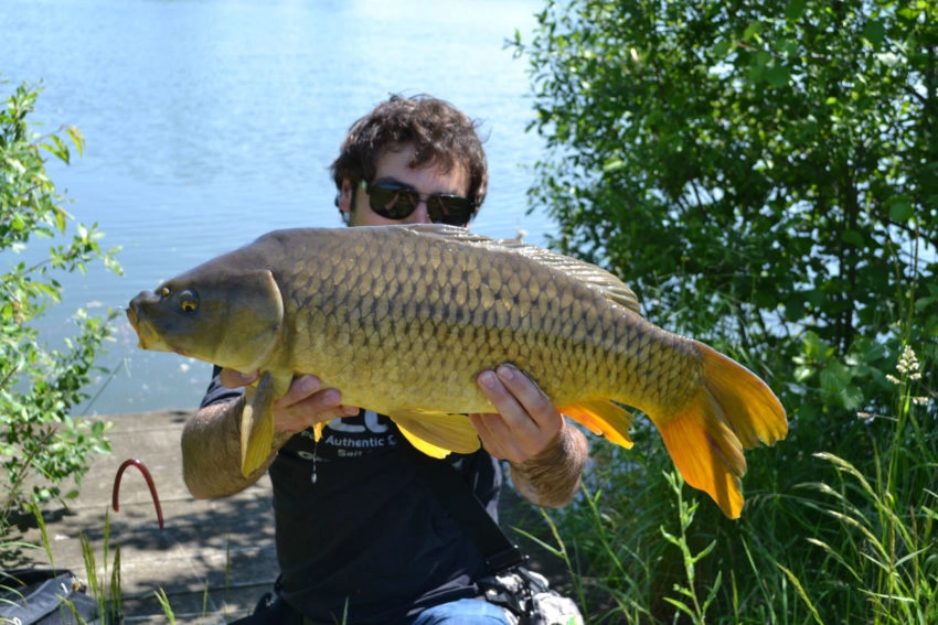 Pêche au leurre des poissons blancs