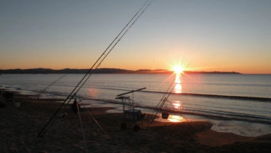 Pêche des sparidés en surfcasting la nuit