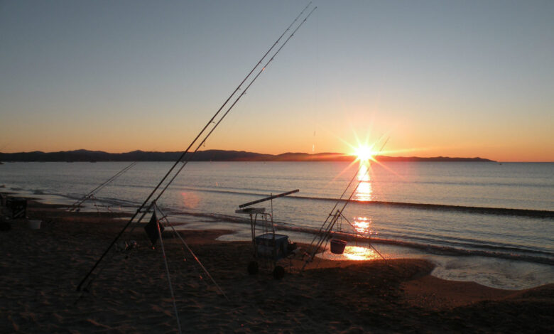 Pêche des sparidés en surfcasting la nuit