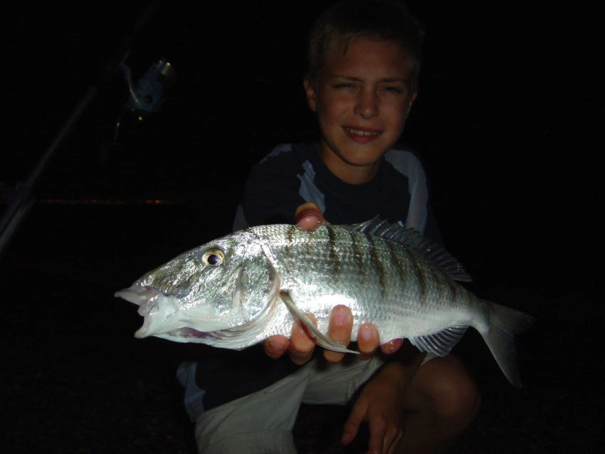 Pêche des sparidés en surfcasting la nuit