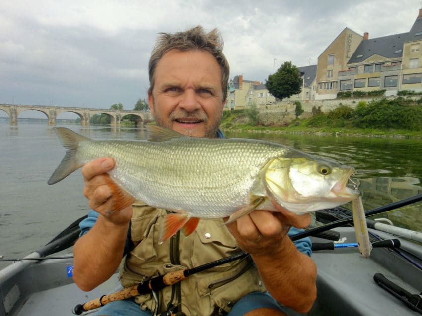 Pêche de l'aspe en Loire
