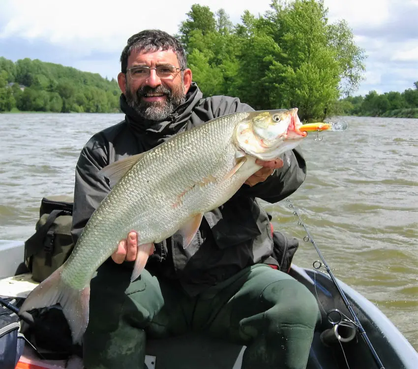 Pêche de l'aspe en Loire