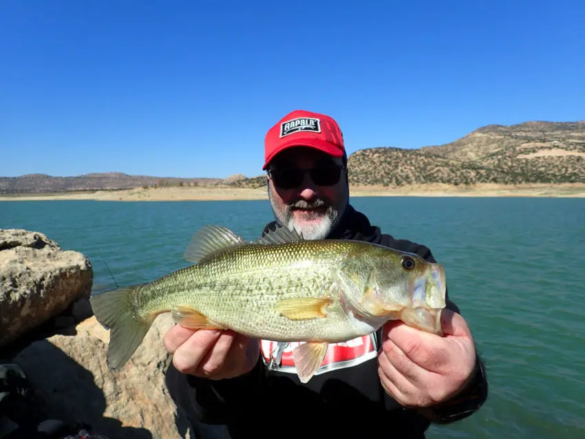 Pêcher le black bass depuis la berge