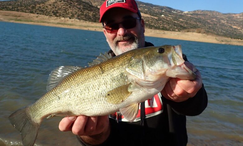 Pêcher le black bass depuis la berge