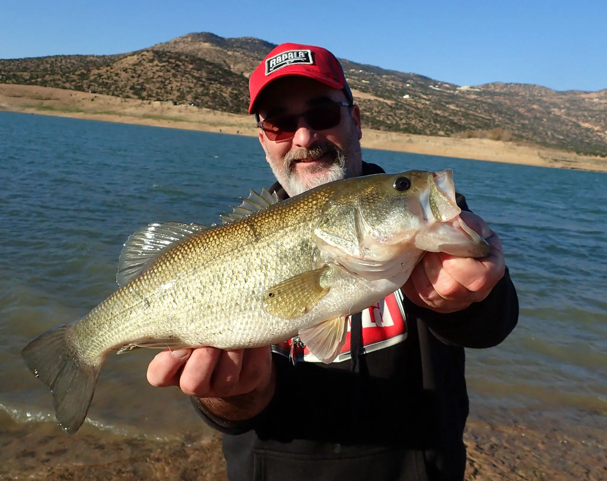 Pêcher le black bass depuis la berge