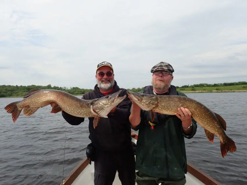 Pêche du brochet au poisson nageur