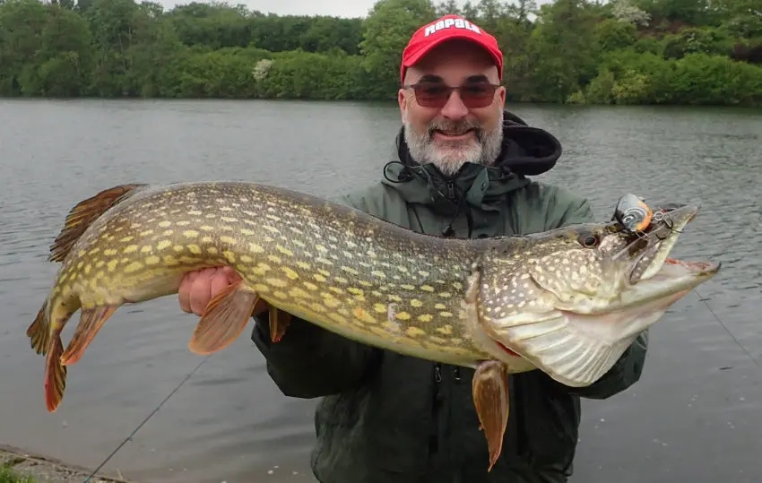 Pêche du brochet au poisson nageur