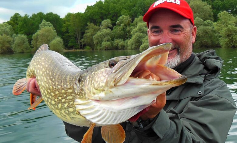 Pêche du brochet au poisson nageur