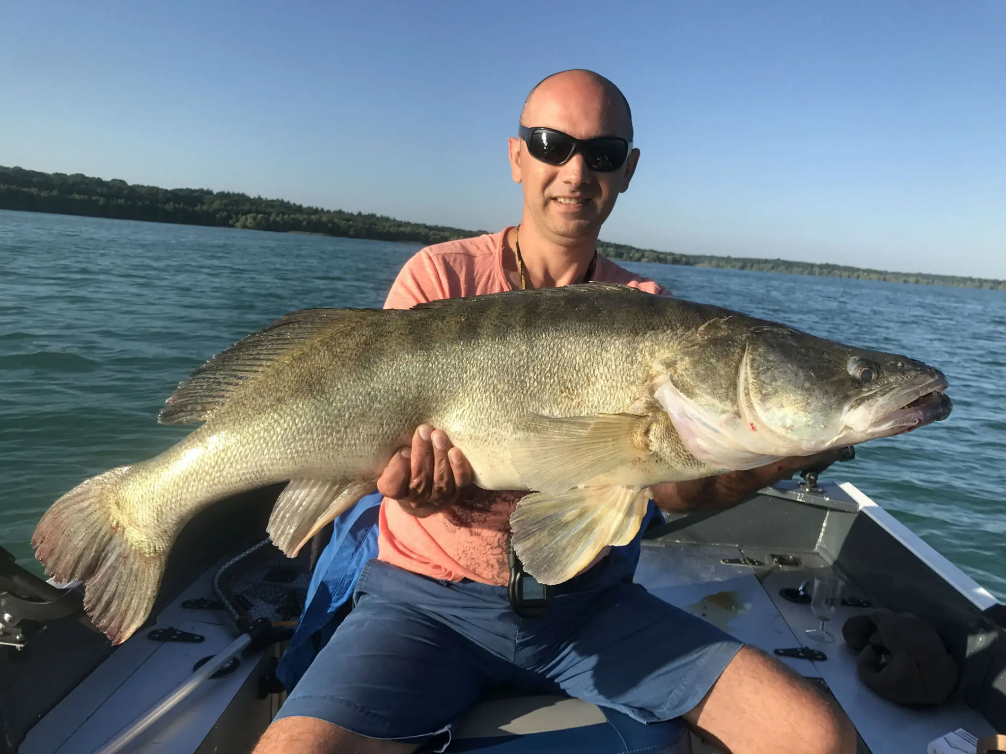 Pêche des carnassiers à la lame vibrante