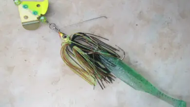 Leurre Storm Weedless Buzzer 35