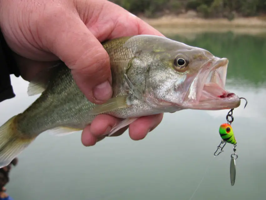 Leurre tailspin pour la pêche des carnassiers