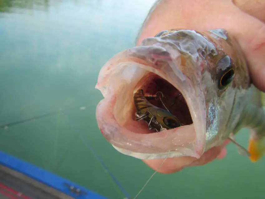 Leurre tailspin pour la pêche des carnassiers