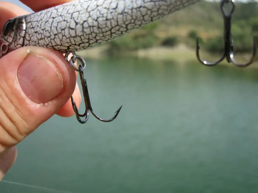 Montage finess pour la pêche des carnassiers éduqués