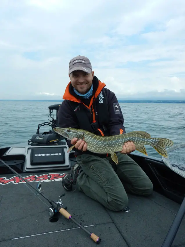 Pêche du brochet au leurre Lipless Spin