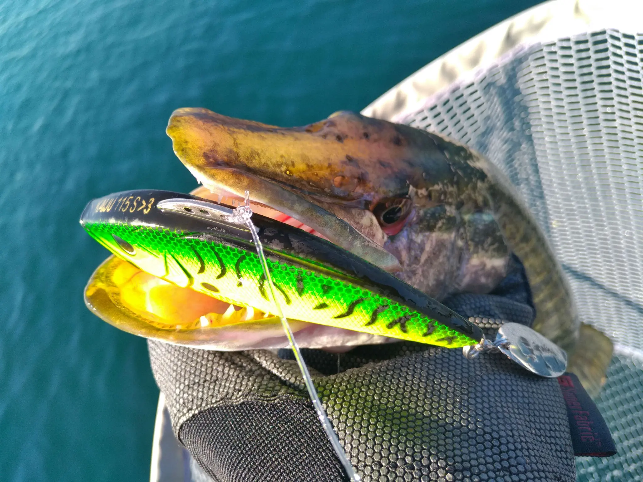 Pêche du brochet au leurre Lipless Spin