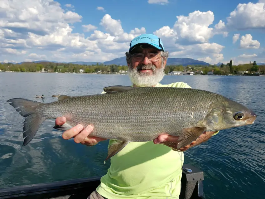 Pêche du féra (corégone) en kayak sur le lac Léman