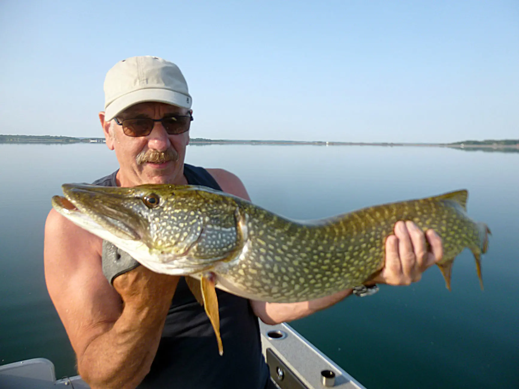 Bas de ligne pour la pêche du brochet