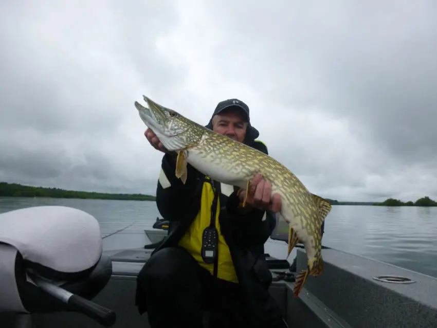 Pêche des carnassiers au fireball