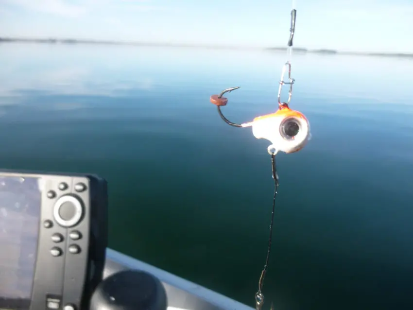 Pêche des carnassiers au fireball