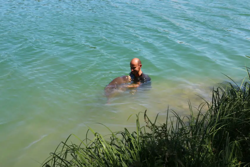 Gros amorçage pour la pêche à la carpe