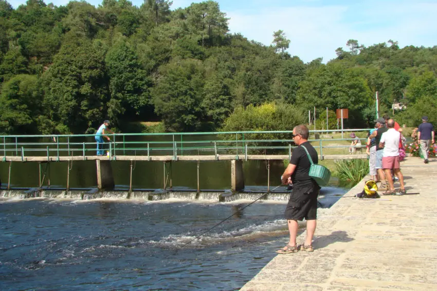 Pêche dans le Morbihan