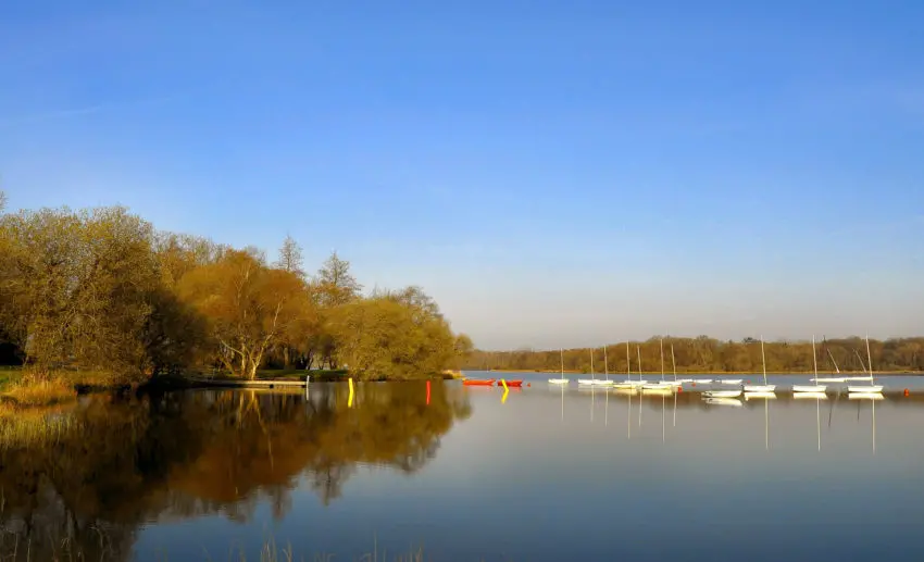 Pêche dans le Morbihan